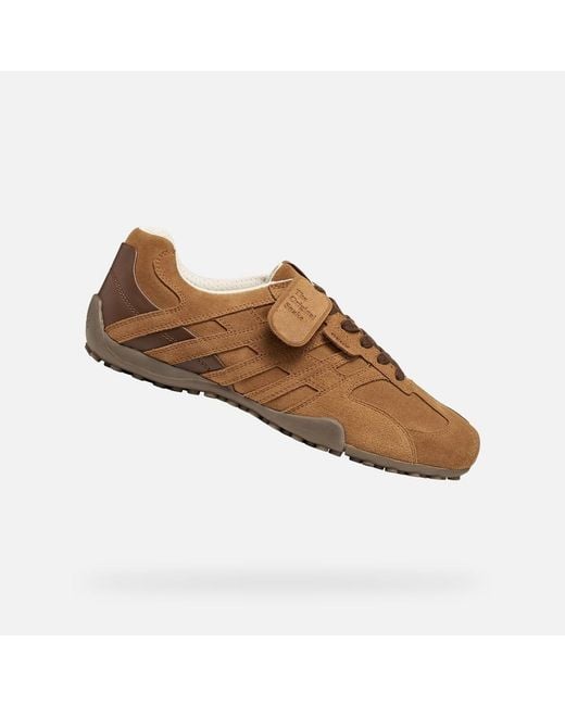 Geox Brown Snake for men
