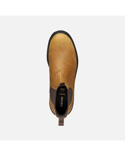 Geox Brown Spherica Ec7 B Ochre/Chocolate for men