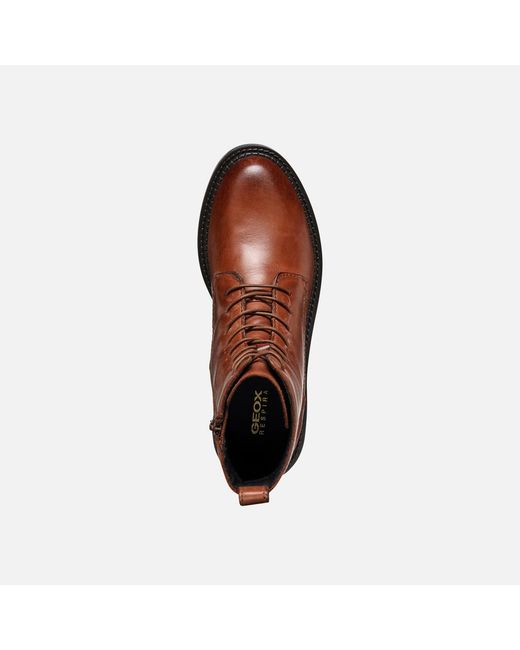 Geox Brown Serilda