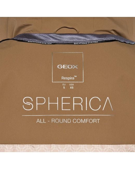 Geox Brown Spherica
