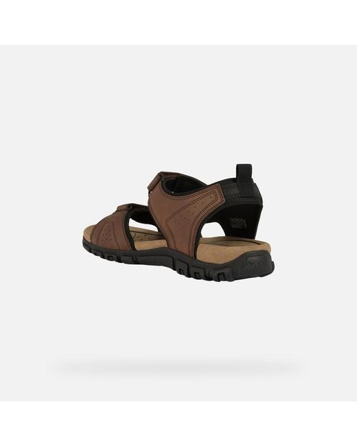 Geox Brown Strada for men
