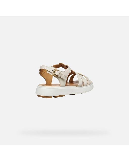Geox White Nebula 2.0 C S
