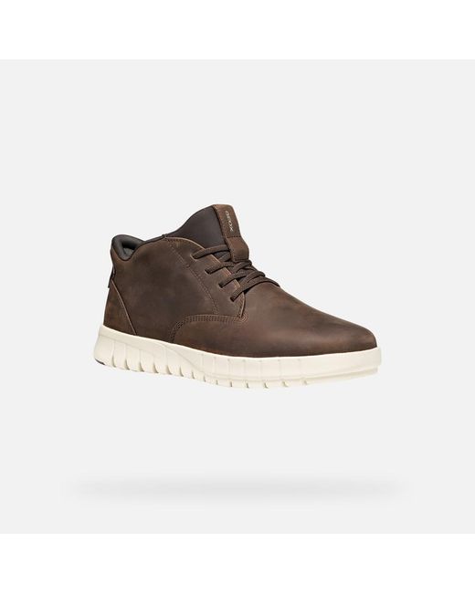 Geox Flextride Plus Herr in Brown für Herren