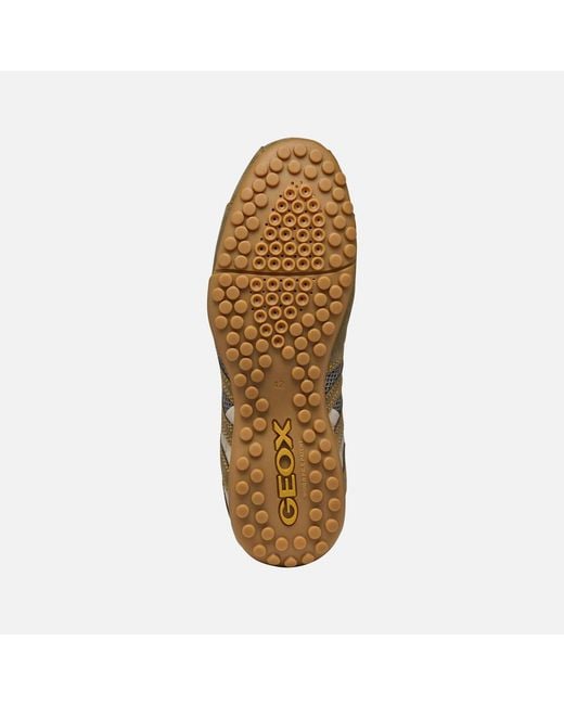 Geox Green Snake Original for men