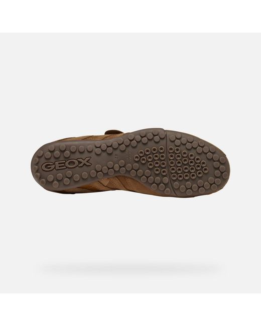 Geox Brown Snake for men