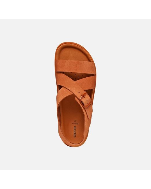 Geox Brown Sandybett