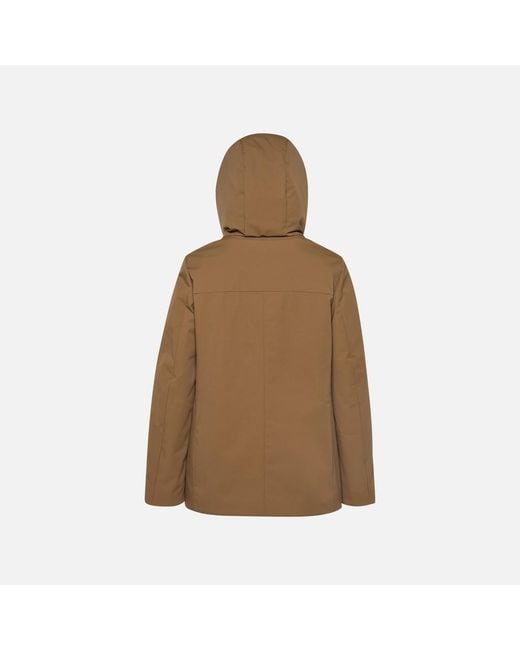 Geox Brown Spherica