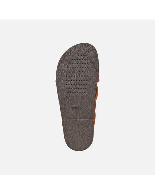 Geox Brown Adelash