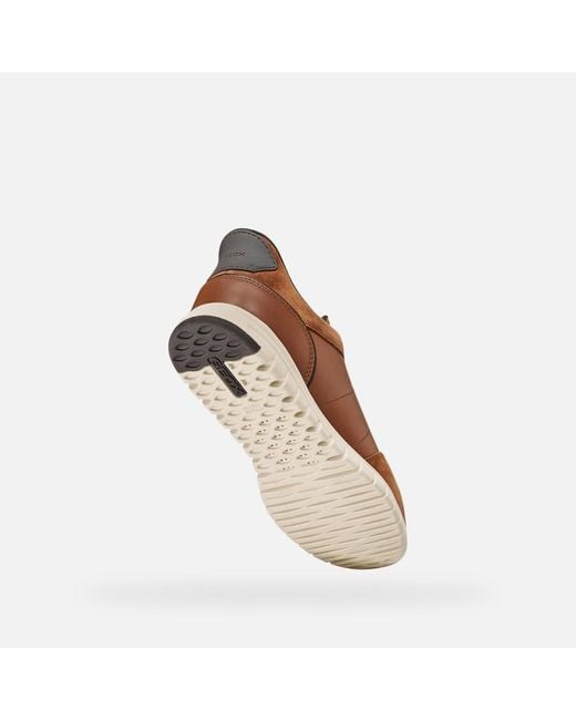 Geox Brown Flextridezero Plus for men