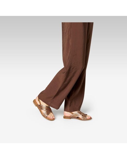 Geox Brown Maddalusia C