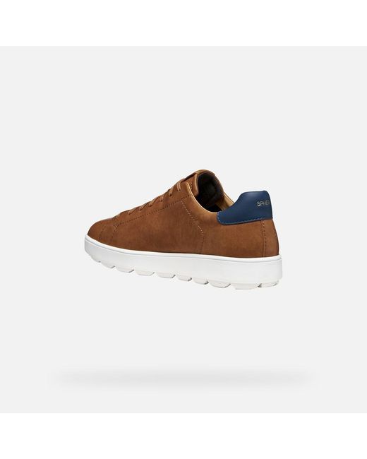Geox Brown Spherica Ecub-1 B for men
