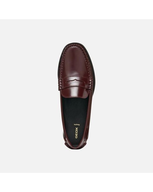 Geox Brown Noemen