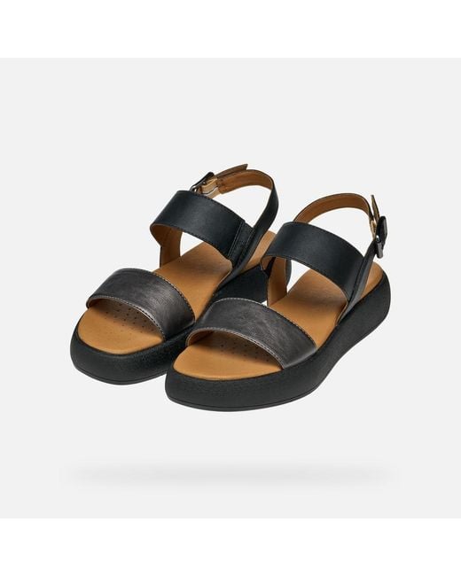 Geox Black Camalei
