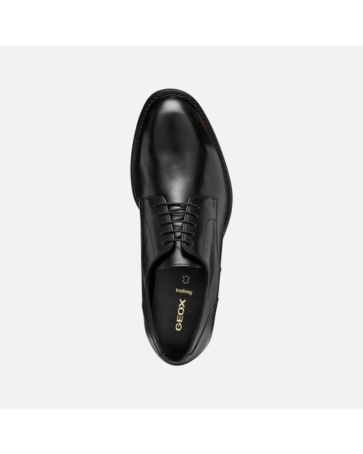 Geox Black Barberigo for men