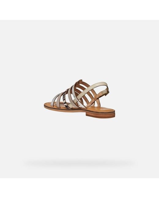 Geox Brown Maddalusia C