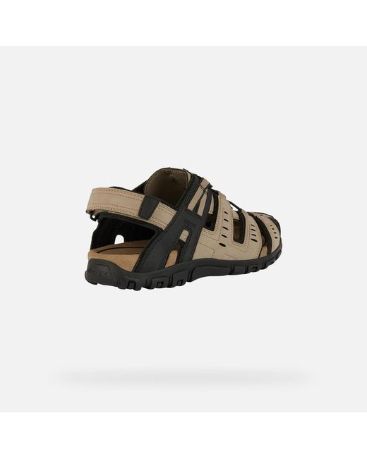 Geox Brown Strada for men