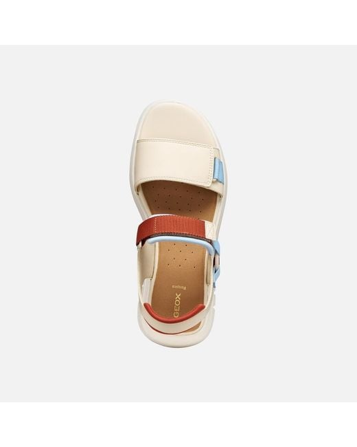 Geox Multicolor Flextride S