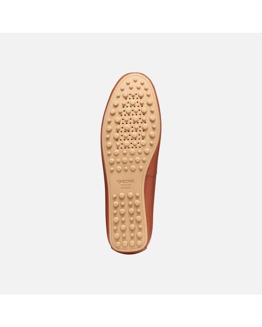 Geox Brown Kalistena