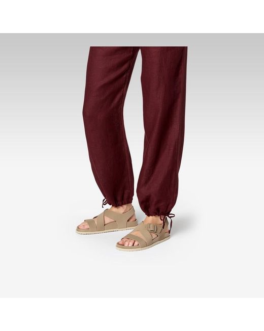 Geox Gray Sandybett