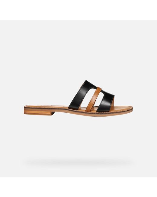 Geox Brown Maddalusia C