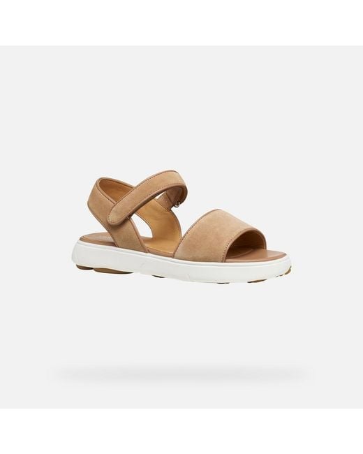Geox Metallic Nebula 2.0 C S