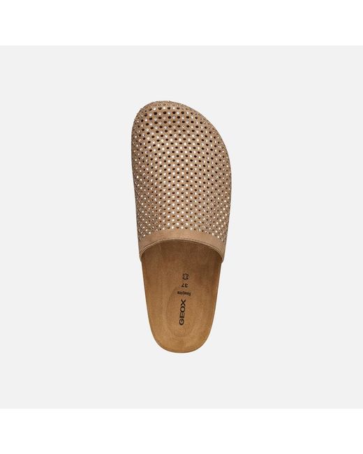 Geox Brown Brionia R