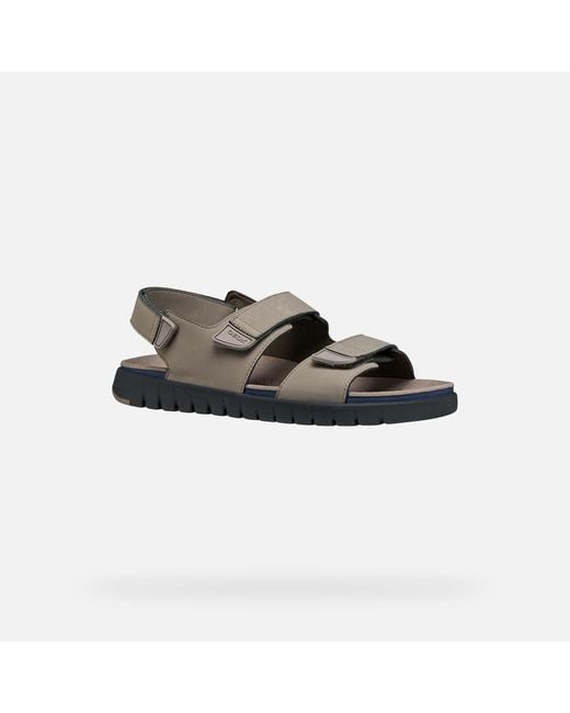 Geox Brown Flextride S for men