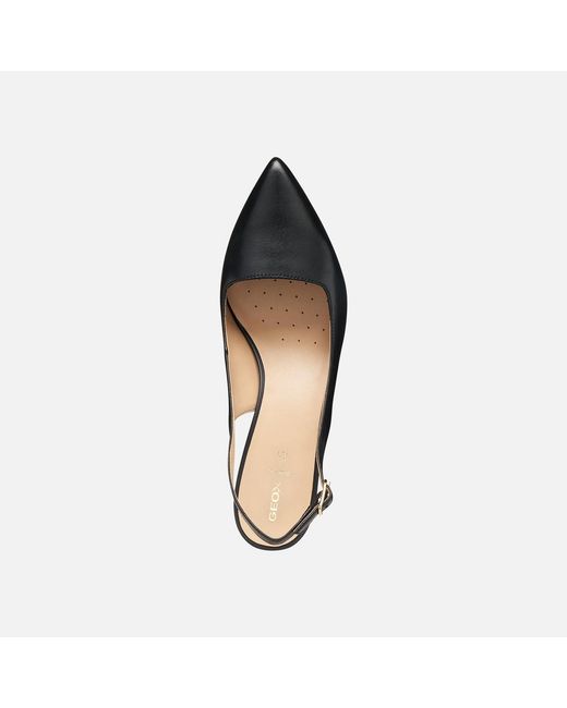 Geox Black Kleopy