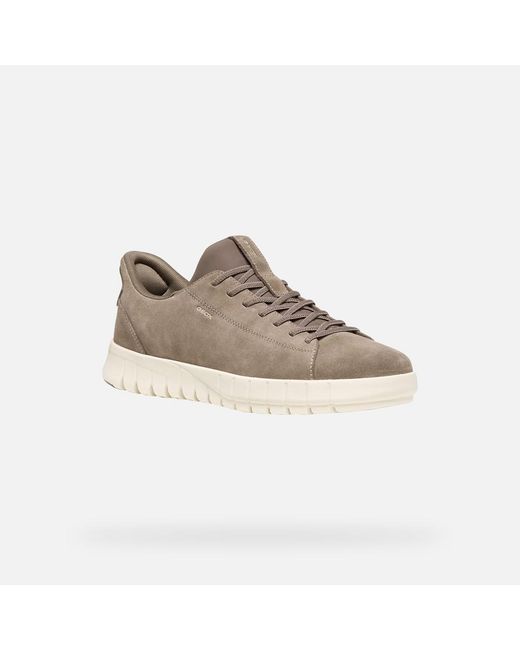 Geox Gray Flextride Plus for men