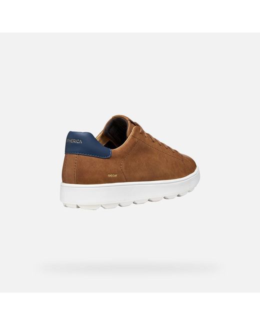 Geox Brown Spherica Ecub-1 B for men