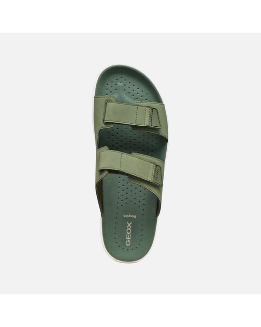 Geox Green Flextride S for men