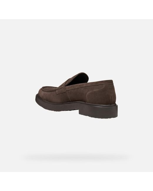 Geox Brown Massimiano for men