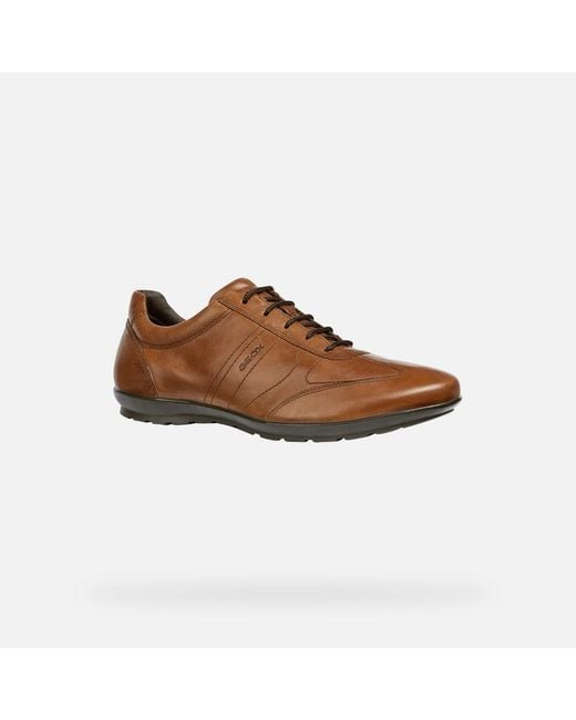 Geox Brown Symbol for men