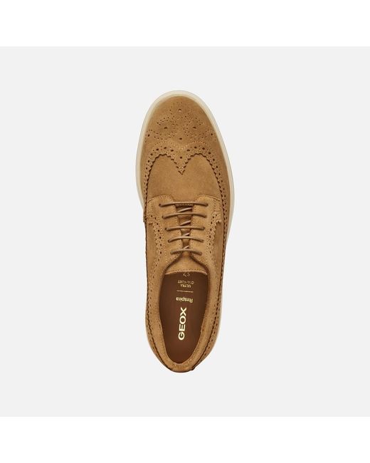 Geox Brown Spherica Ec17 for men