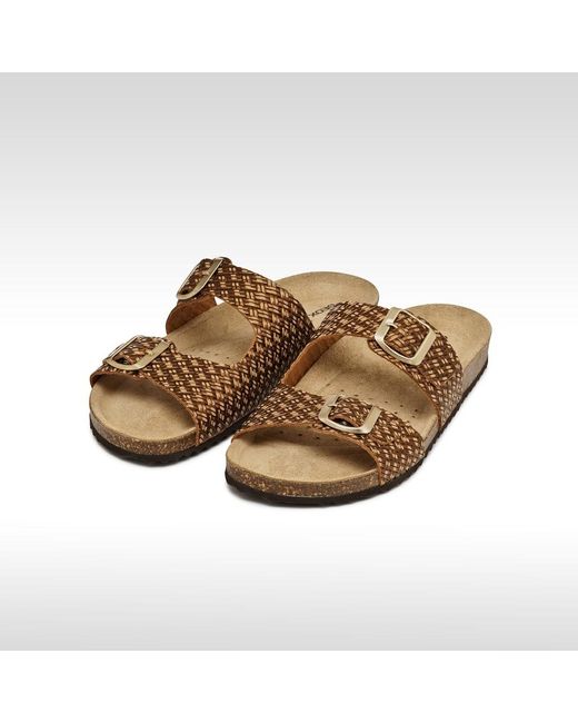 Geox Brown Brionia