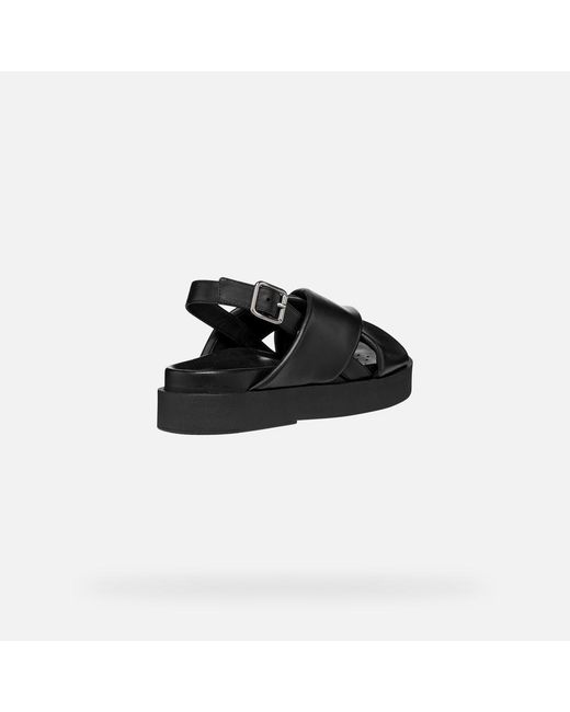 Geox Black Adelash H