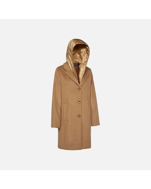 Geox Brown Rawelle