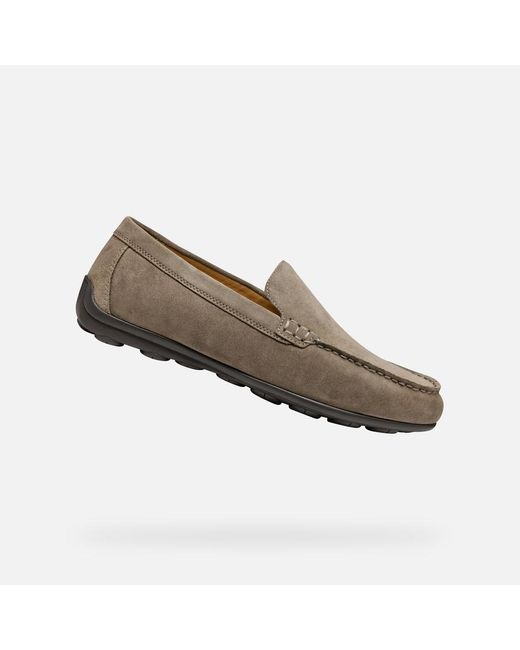 Geox Gray Spherica Ec16 for men