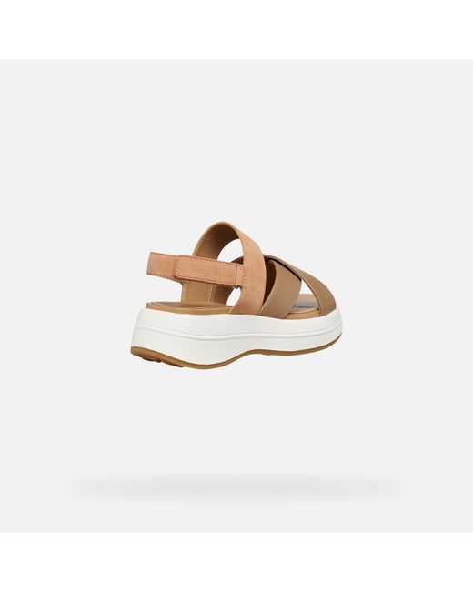 Geox Metallic Spherica Ecub-3 S