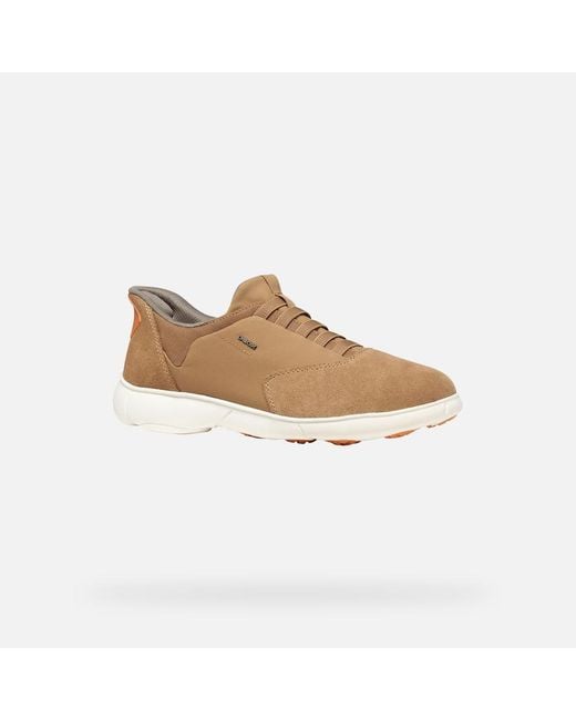 Geox Brown Nebula 2.0 Plus for men