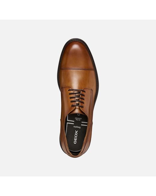 Geox Brown Walk Pleasure B for men