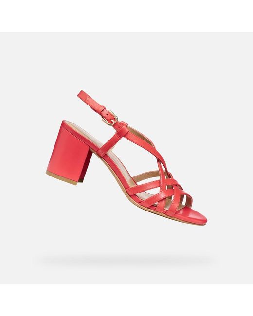 Geox Red Virnilisa 65 S