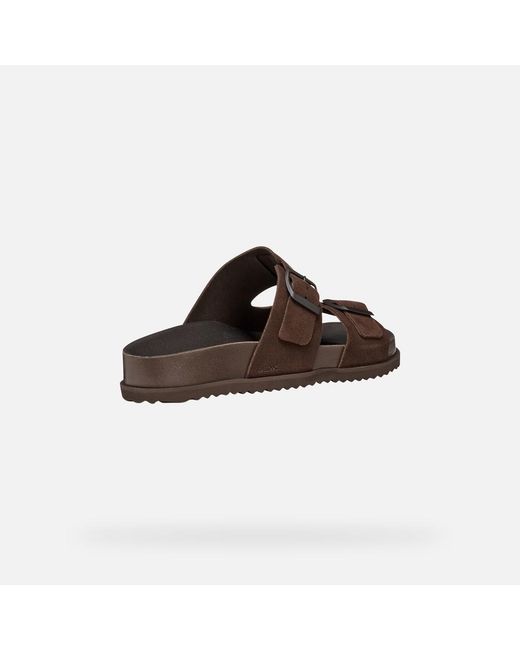 Geox Brown Parnaiba for men