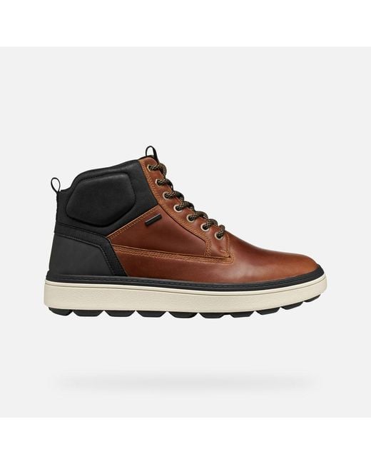 Geox Brown Spherica Ecub-1.1 Abx for men