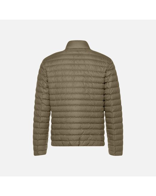 Geox Green Warrens for men