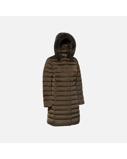 Geox Brown Bettanie