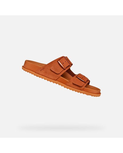 Geox Brown Sandybett