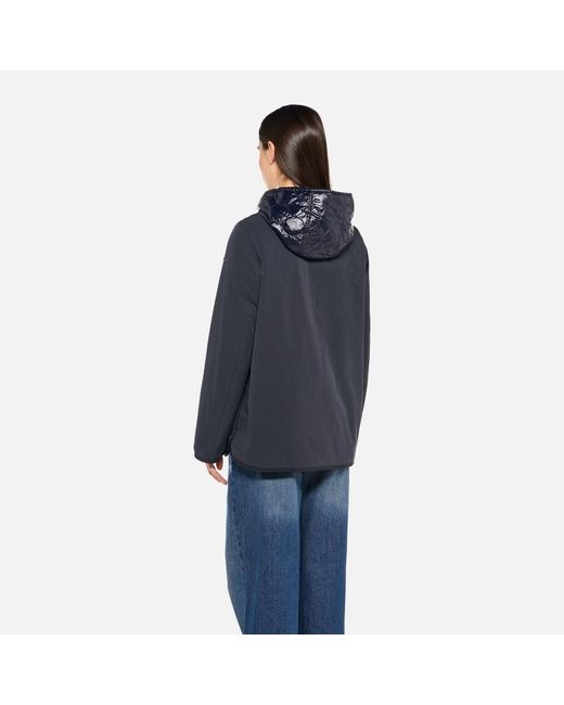 Geox Blue Plummery