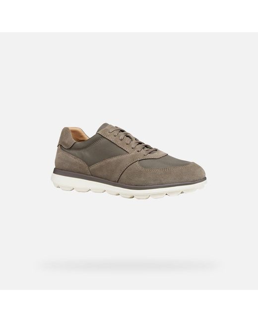 Geox Gray Spherica Ec12 for men
