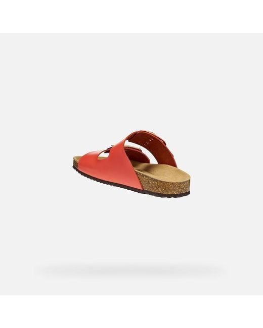 Geox Red Brionia R